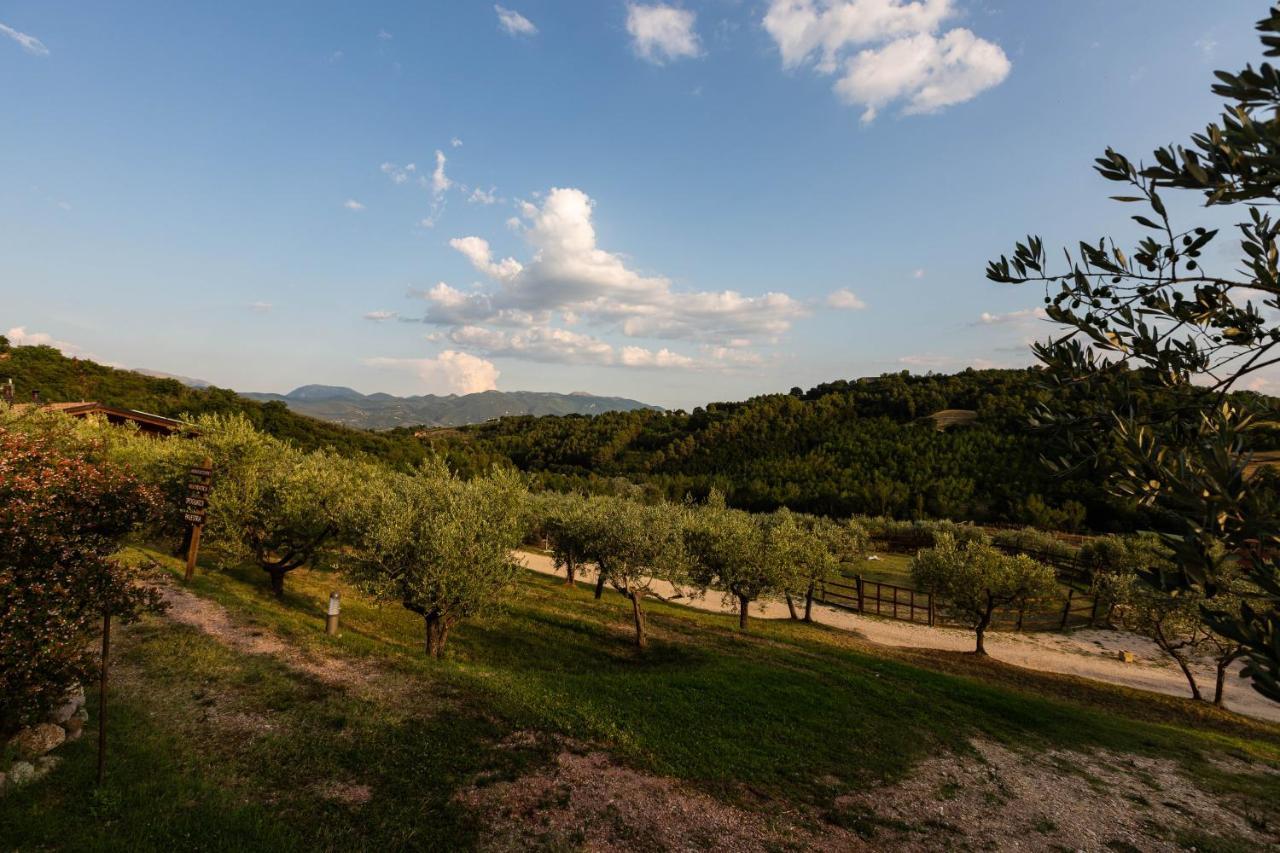 Agriturismo Agrileisuretime 스폴레토 외부 사진