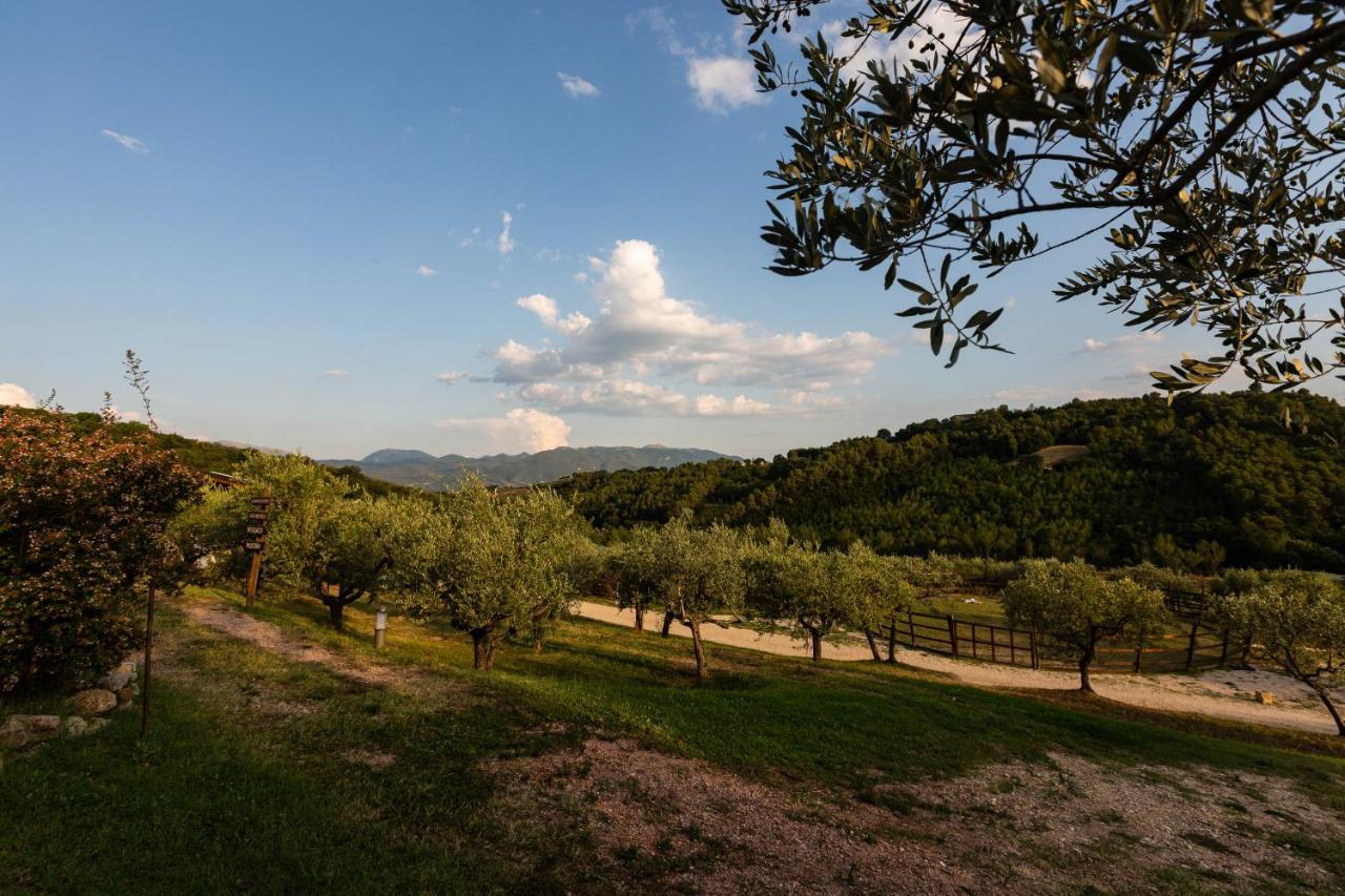 Agriturismo Agrileisuretime 스폴레토 외부 사진