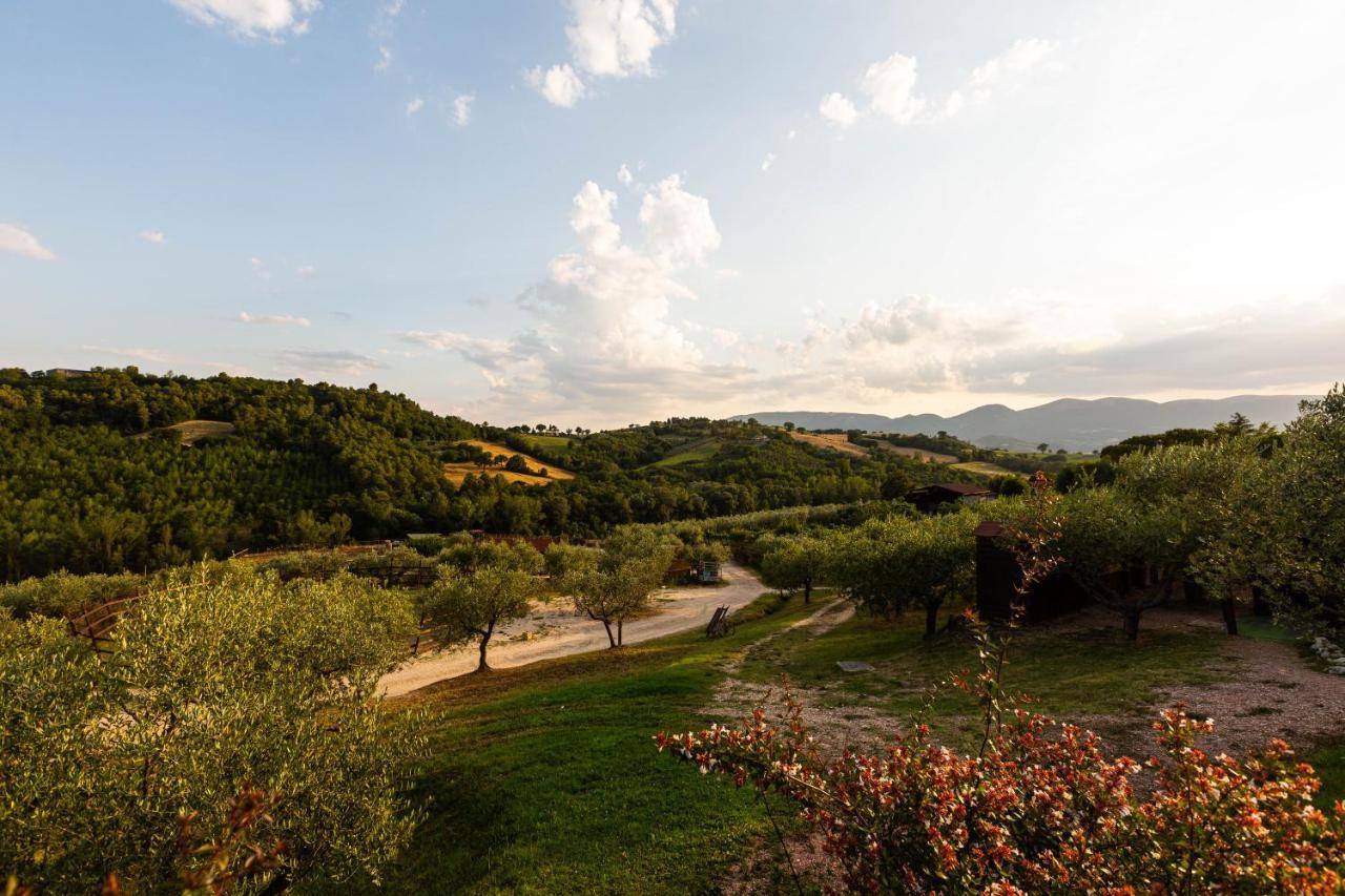 Agriturismo Agrileisuretime 스폴레토 외부 사진