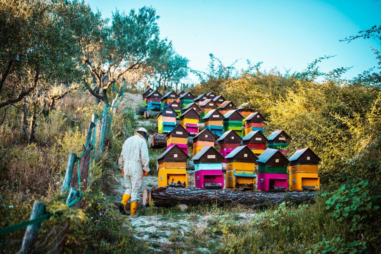 Agriturismo Agrileisuretime 스폴레토 외부 사진