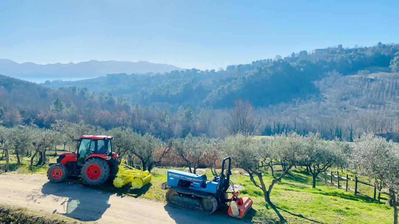 Agriturismo Agrileisuretime 스폴레토 외부 사진