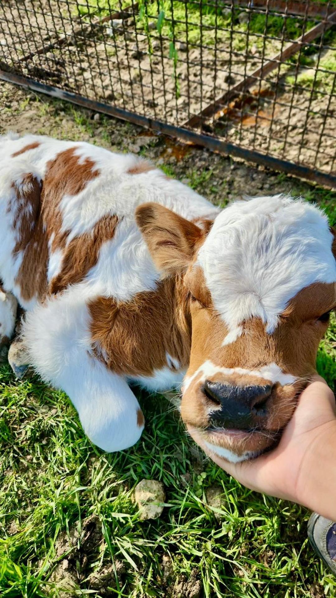 Agriturismo Agrileisuretime 스폴레토 외부 사진